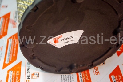 AF25620 Воздушный фильтр Fleetguard