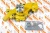 6209-61-1100 Насос водяной Помпа для Komatsu PC200-6, S6D95 Взаимозаменяемые номера: 6209611100