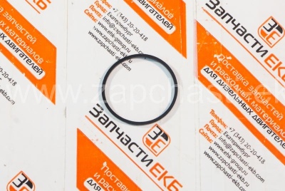 129888 Уплотнительное кольцо (прямоугольного сечения) клапана отсечки топлива (соленоида) SEAL RECTANGULAR RING Cummins Взаимозаменяемые номера: 1778301 (Scania), A129888